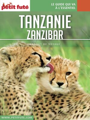 cover image of TANZANIE 2018/2019 Carnet Petit Futé